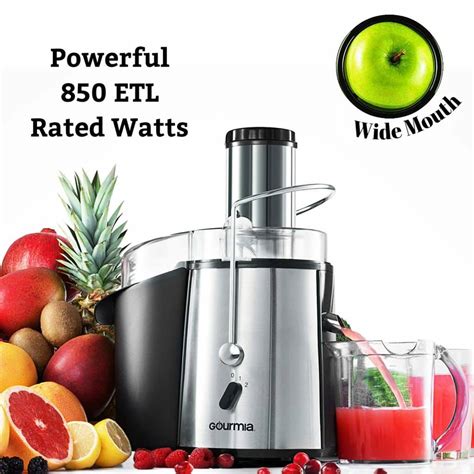 Top 10 Best Juice Extractors in 2023 Reviews | Guide