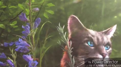 Warrior Cats Movie Trailer 2024 - Jere Robina