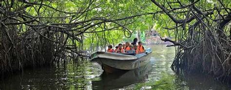 Madu Ganga River Safari Day Tour - Rominrich Hotel Hikkaduwa