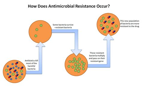 What is AMR - Teagasc | Agriculture and Food Development Authority