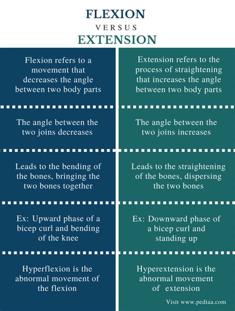 Difference Between Flexion and Extension | Definition, Angle, Examples ...