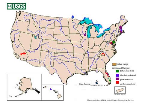 Introduced Range – The Snakehead Fish: An Invasive Species in Florida