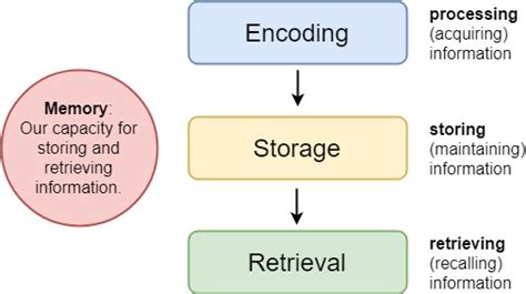 Memory Encoding Storage Retrieval