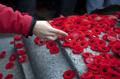 Why are poppies worn on Remembrance Day? – ouestny.com