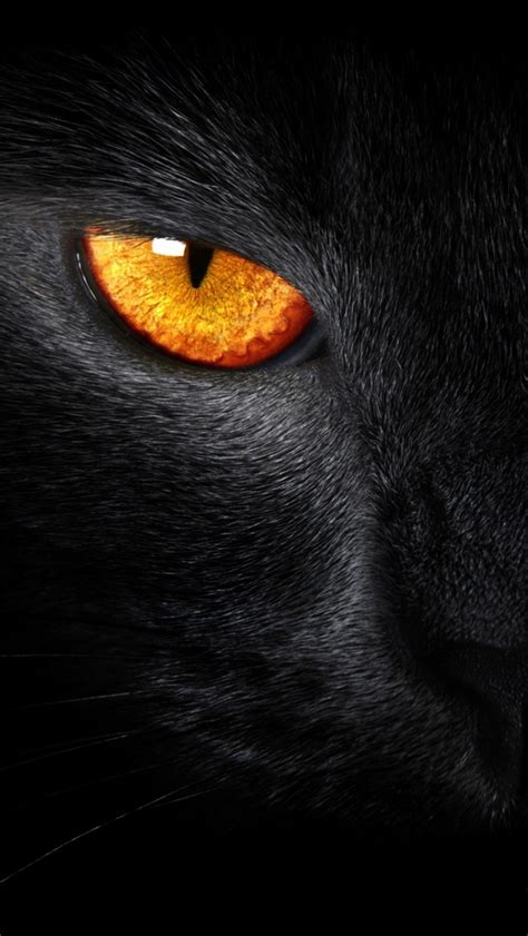 Black Jaguar Wallpaper 4K Iphone