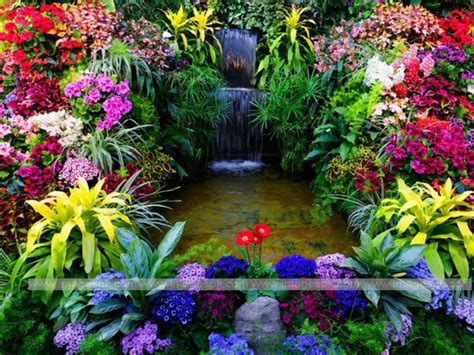 Free download Beautiful flower garden flower forest cool wallpapers ...