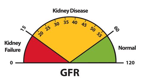 Explaining Your Kidney Test Results: A Tool for Clinical Use - NIDDK