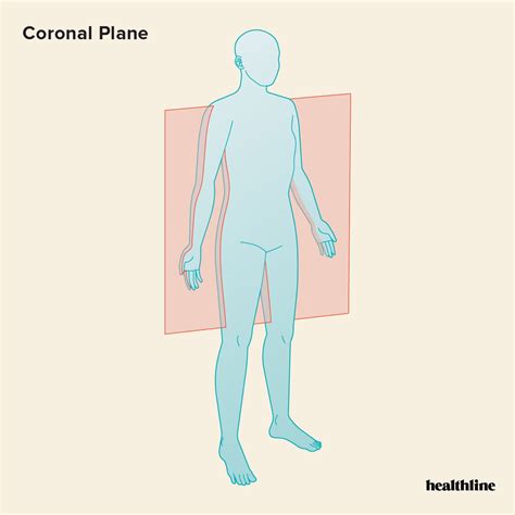 Lateral Plane