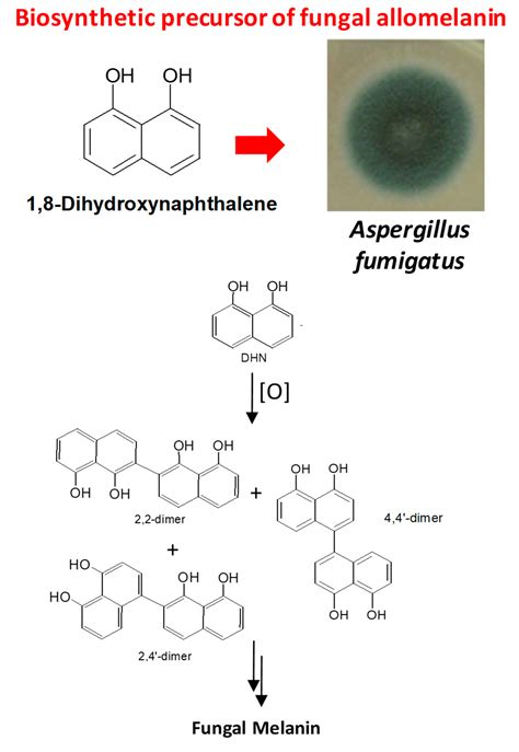 IJMS | Free Full-Text | Astrochemistry and Astrobiology: Materials ...