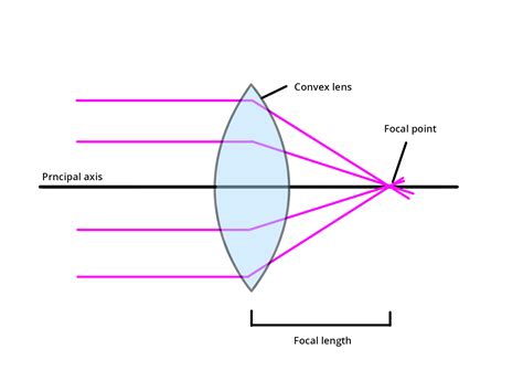 What are concave and convex lenses? Definition, Types and Importance ...