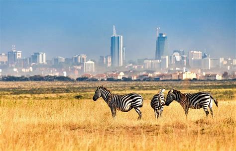 Nairobi National Park | Kenya Safari Destinations | Explore Kenya