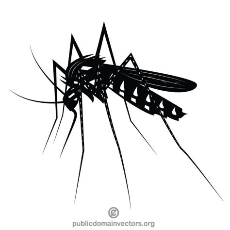 Mosquito clip art graphics Royalty Free Stock SVG Vector and Clip Art