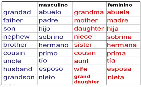 Spanish vocabulary to describe your family