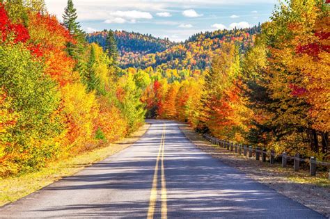 Where to See the Best Fall Leaves in the U.S.