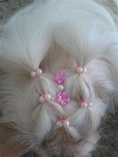 -Repinned-Top knot bling. Grooming Style, Toy Poodle Haircut, Pet Shop ...