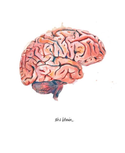 Human Brain Painting