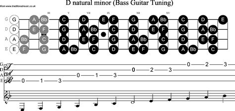 Bass Guitar Scale D Minor