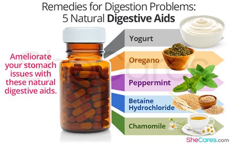 Remedies for Digestion Problems: 5 Natural Digestive Aids | SheCares