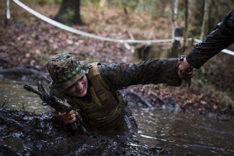 DVIDS - Images - Combat Camera Marines navigate obstacle Courses [Image ...