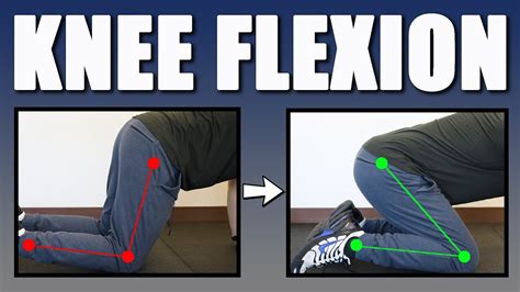 Improving Knee Flexion (Best Exercises, Stretches, Mobilization ...