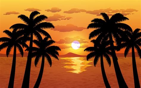 Premium Vector | Palm tree silhouette sunset