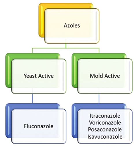 Functional classification of azoles group of anti-fungal drugs [5 ...