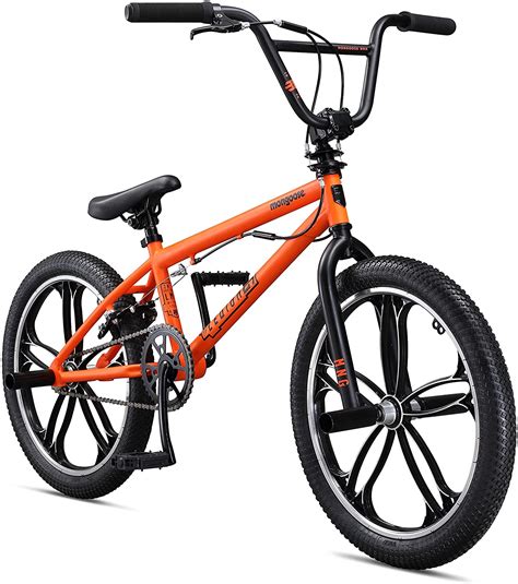 10 Best BMX Bikes for Beginners: Review For 2022