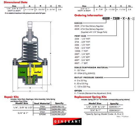 Regulator, Valve Repair Kit - thecryoshop.com