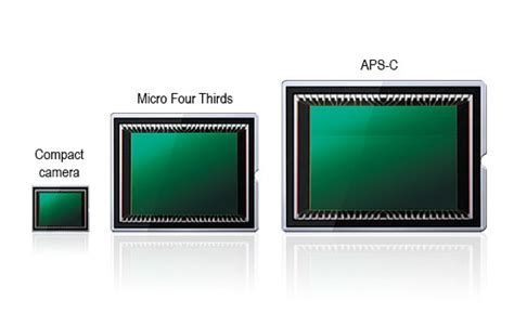 camera-sensor-comparison-compact-apsc-micro-four-thirds | JAMES ABBOTT ...