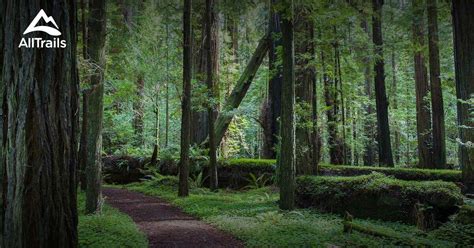 Best long trails in Jedediah Smith Redwoods State Park | AllTrails