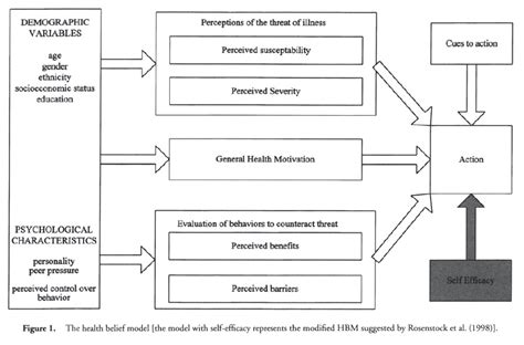 Health Belief Model - Health Psychology - IResearchNet