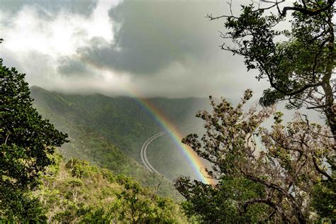 14 Amazing Hiking Trails in Oahu - The Golden Hour Adventurer