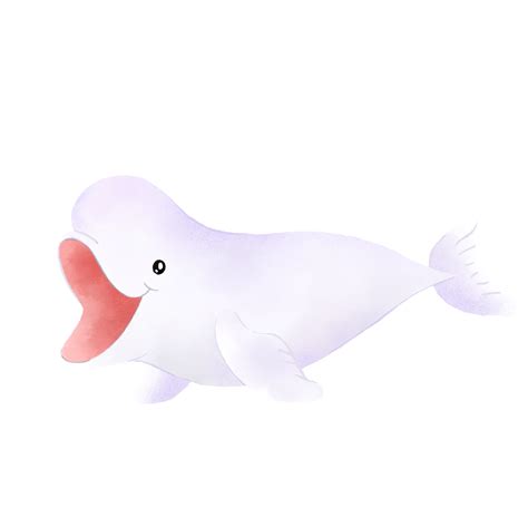 Beluga Whale Edited By K Abdelhamid.Png Free Image Png