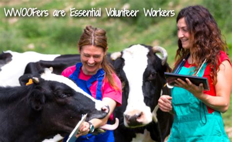 WWOOF Australia | WWOOF – World Wide Opportunities on Organic Farms