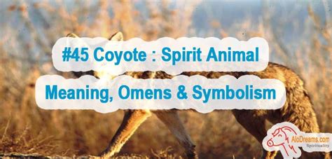 #45 Coyote : Spirit Animal – Meaning, Omens & Symbolism