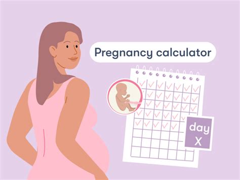 Pregnancy calculator: A week-by-week pregnancy calendar