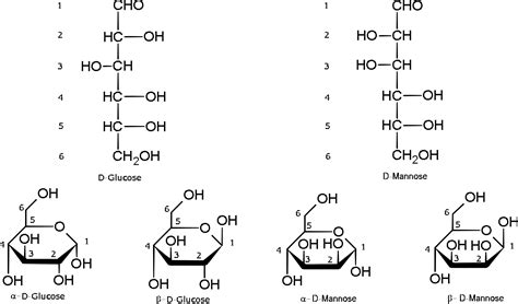 Classification of Carbohydrates with Types, Formula and Structure