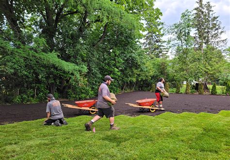 SOD Ottawa - SOD Installation - MCD Contracting - (613) 314-5154