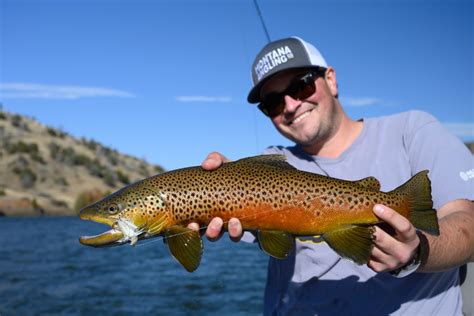 Gallatin River Lodge - Montana Angling Company