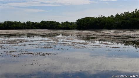 Everglades National Park | WEST LAKE CANOE TRAIL