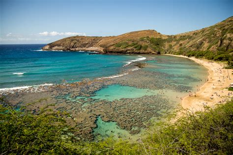 Photo of the Hanauma Bay with a coral reef in Oahu, Hawaii, USA ...