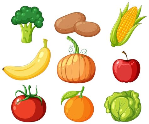 Free Vector | Group of fruit and vegetable