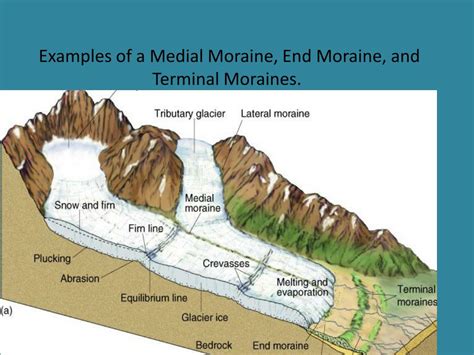 PPT - Glacial Erosion and Wind Erosion PowerPoint Presentation, free ...