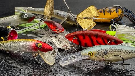 The Different Types of Fishing Bait for 2023 - OutdoorPulse