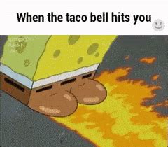 Sponge Bob Taco Bell GIF – Sponge Bob Taco Bell Flames – Откриване и ...