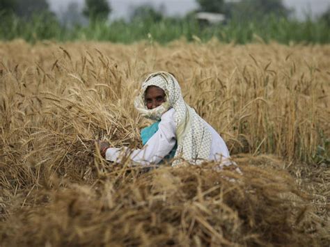 Being an Indian farmer…