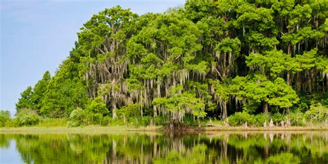 Everglades National Park, Wildlife Tourism in Florida - Traveldigg.com