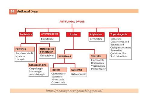 Pharmacological Classification of Drugs | Pharmacological, Pharmacology ...