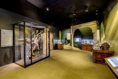 Museum of the Bible Celebrates One-Year Anniversary | Answers in Genesis