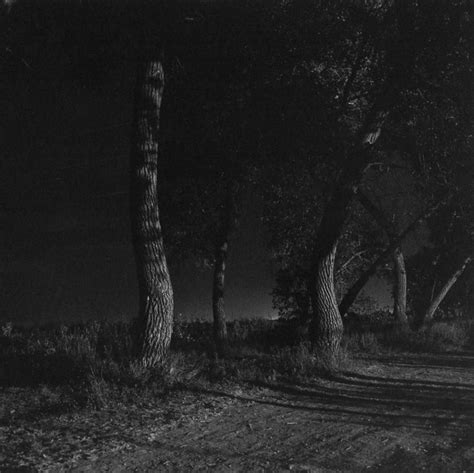 Something Between Want and Desire: Robert Adams, "Summer Nights ...